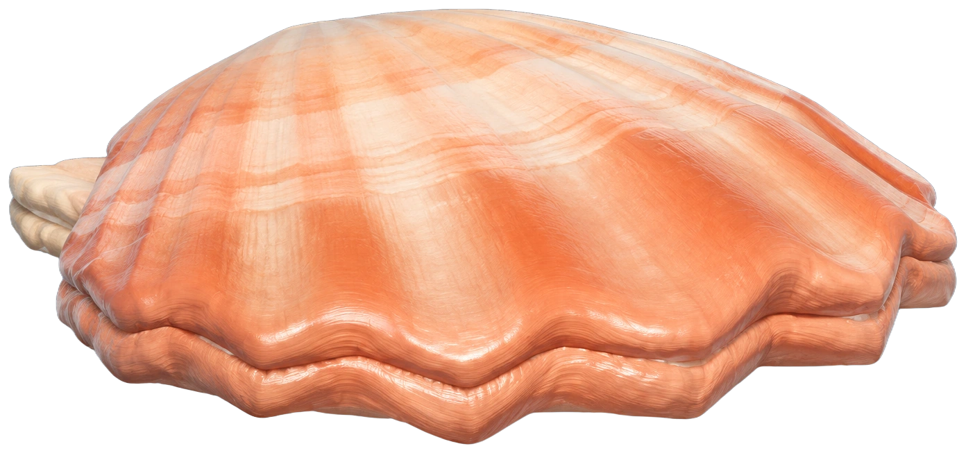 Coquille Saint-Jacques dans Heartopia