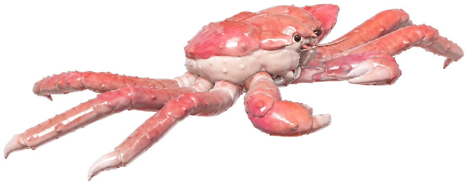Crabe royal dans Heartopia