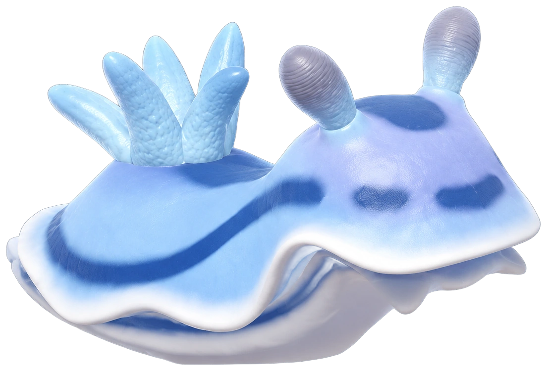 Limace de mer dans Heartopia