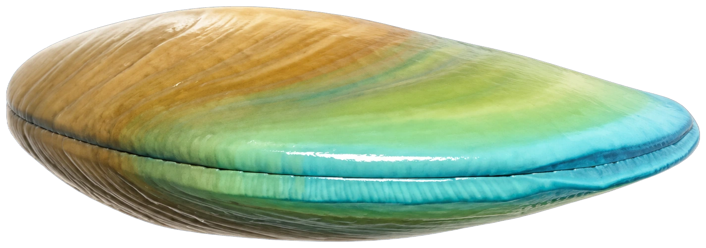 Moule dans Heartopia